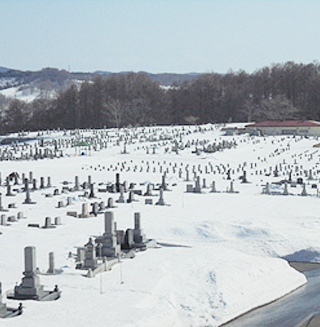 現在の札幌霊園の様子